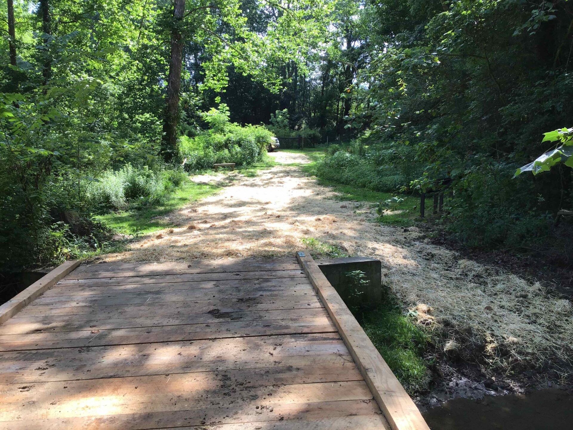 A wooden bridge over a river in the middle of a forest.