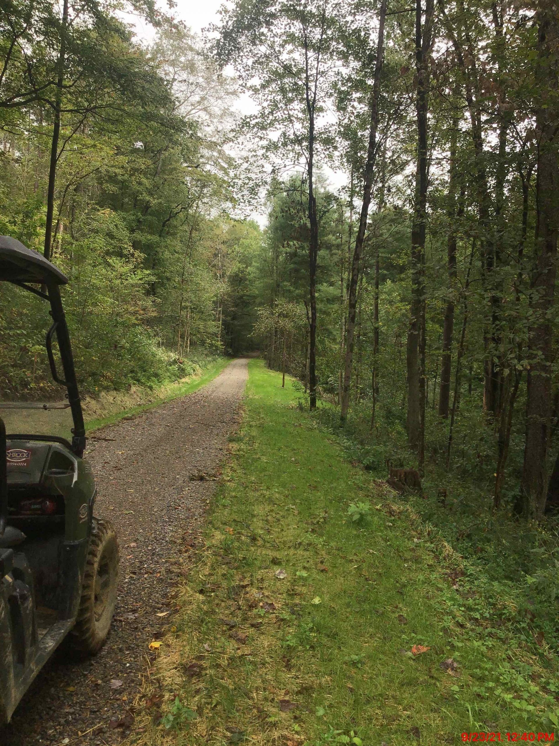 A buggy is driving down a dirt road in the woods.