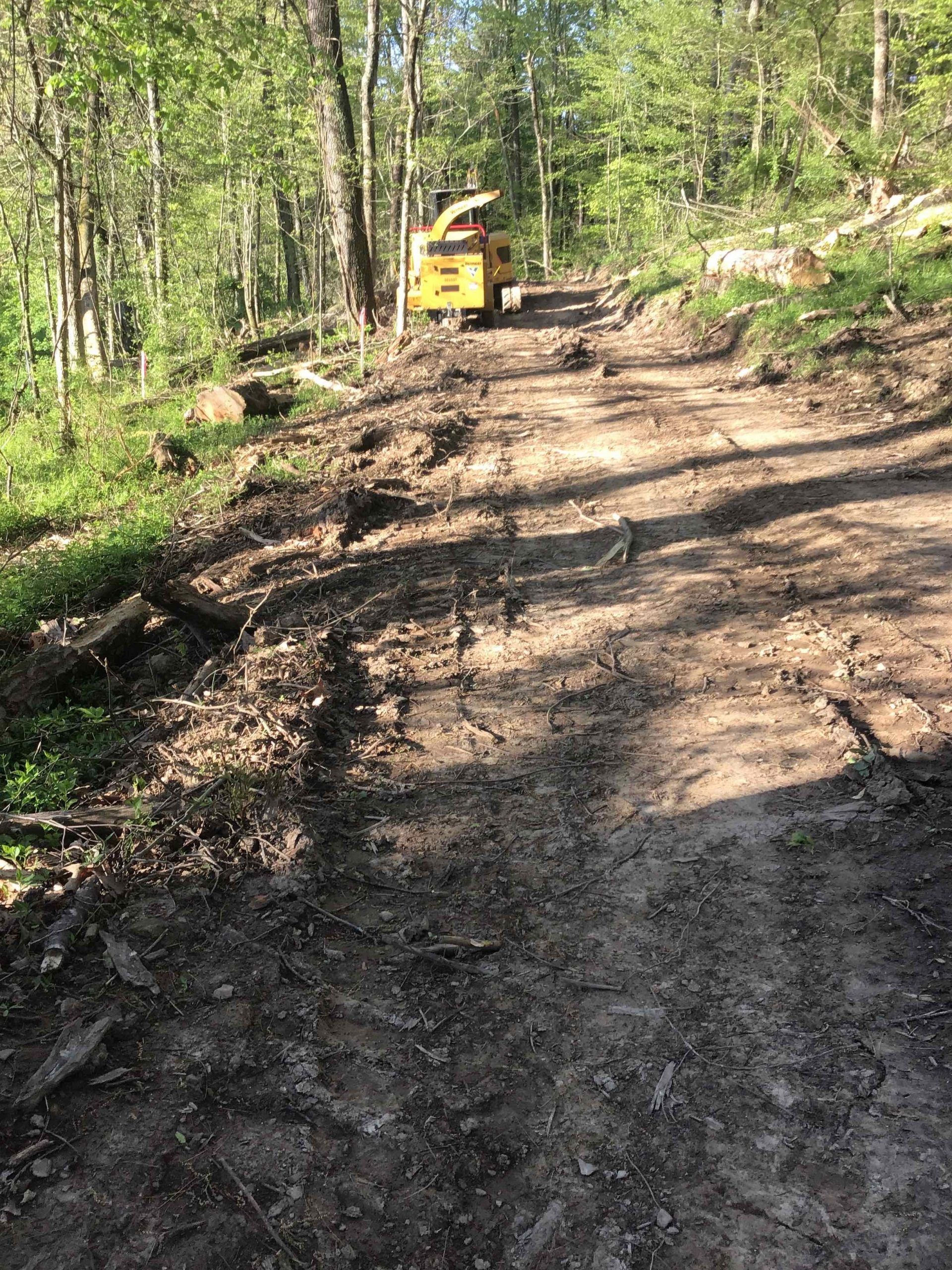 A bulldozer is driving down a dirt road in the woods.