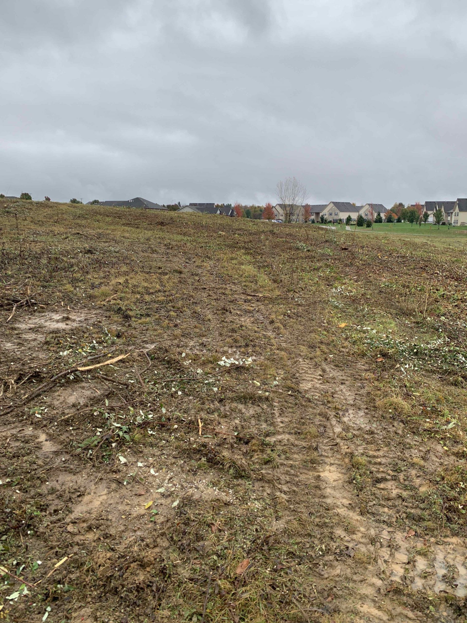 A dirt road going through a field with houses in the background.
