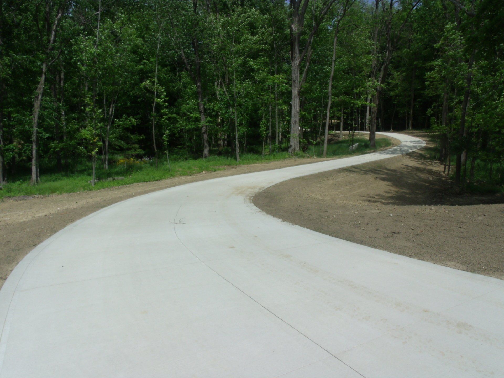 A concrete driveway going through a forest with trees on both sides