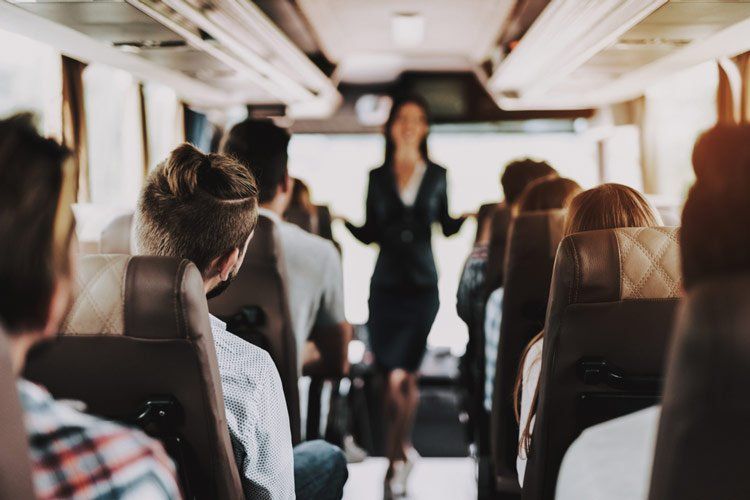 Female Tour Service Employee at Work on Tour Bus — Coaches Near Me in Australia