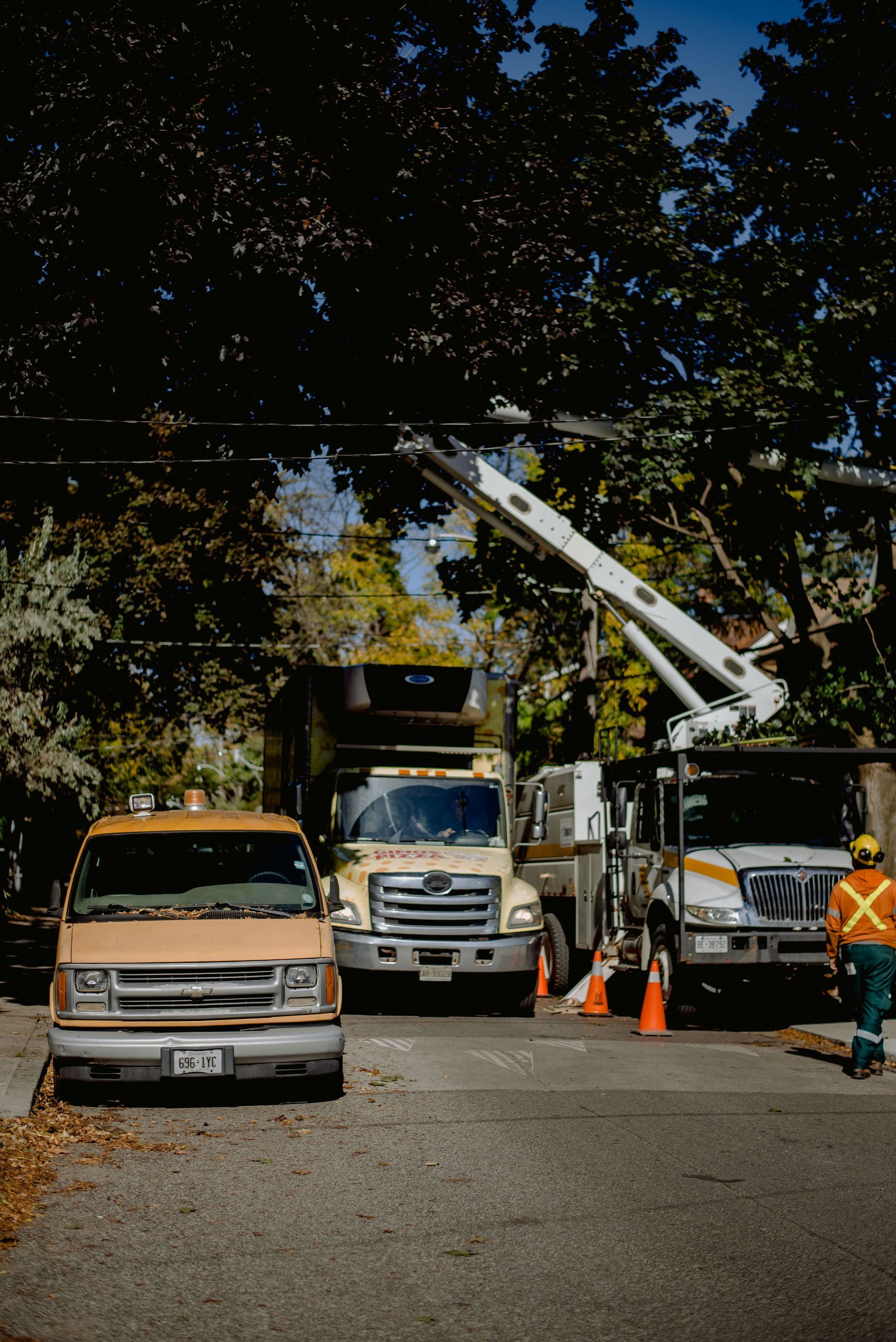 South Tampa residential yard with ongoing tree service work