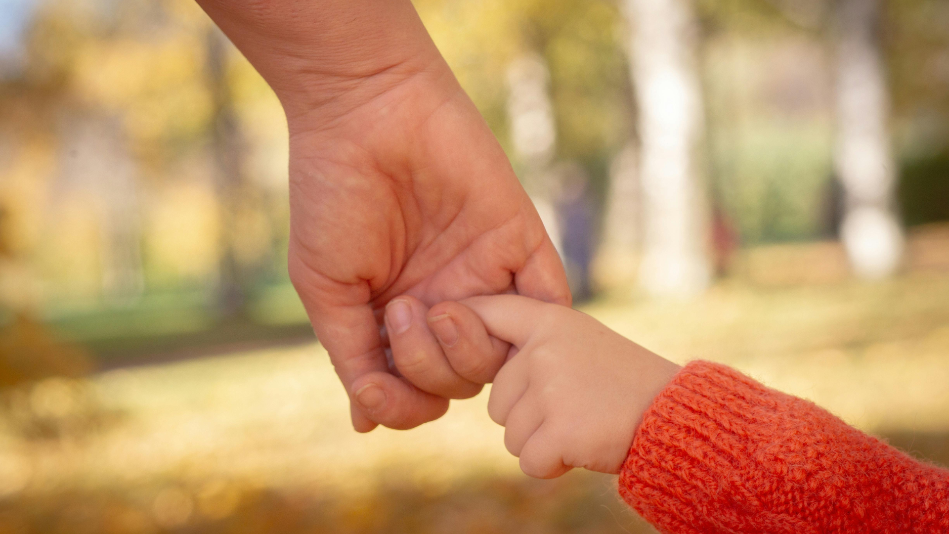 Adult hand holding a child's finger outdoors in warm sunlight