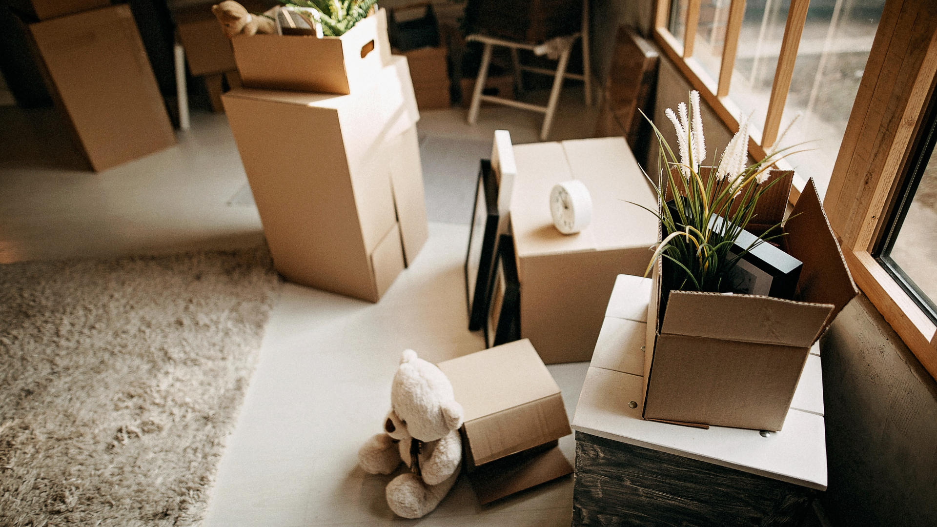 Packed moving boxes by a sunlit window with a teddy bear on the floor