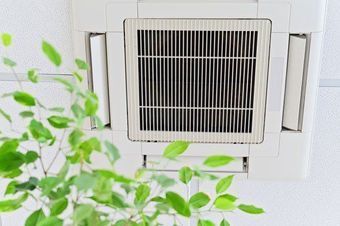White wall-mounted vent or air purifier with green leaves in the foreground