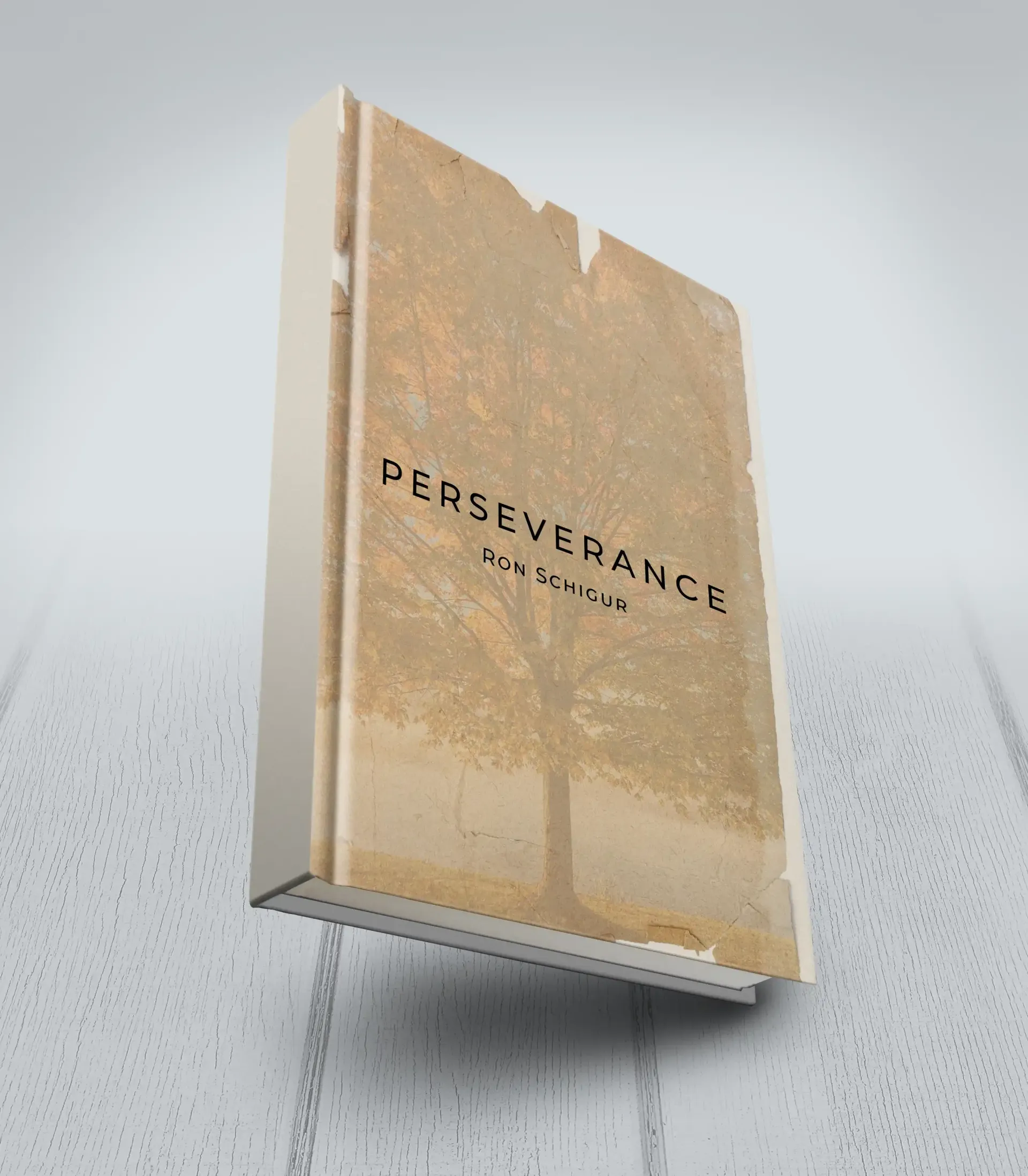 A book titled perseverance is floating in the air