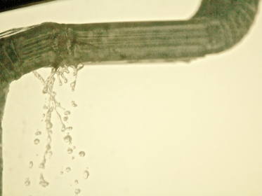 kirkwood gutter repair, leaking gutters, sagging gutters