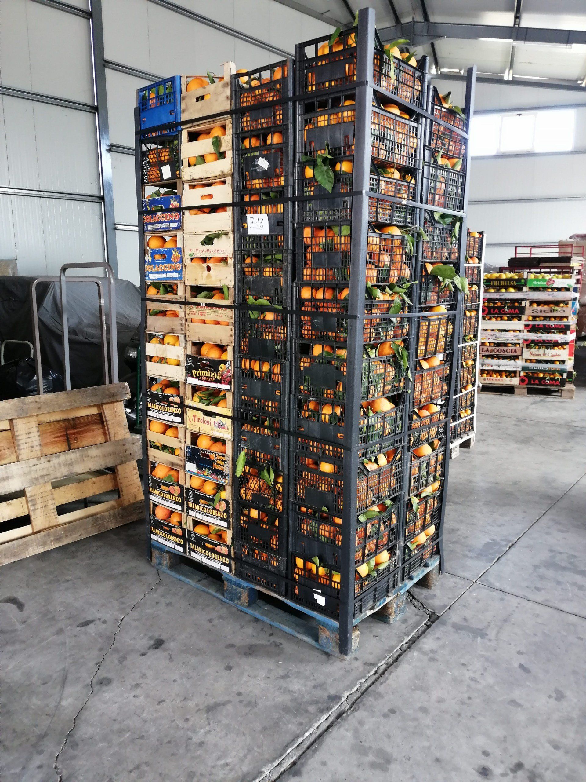spedizione casse di arance di calabria