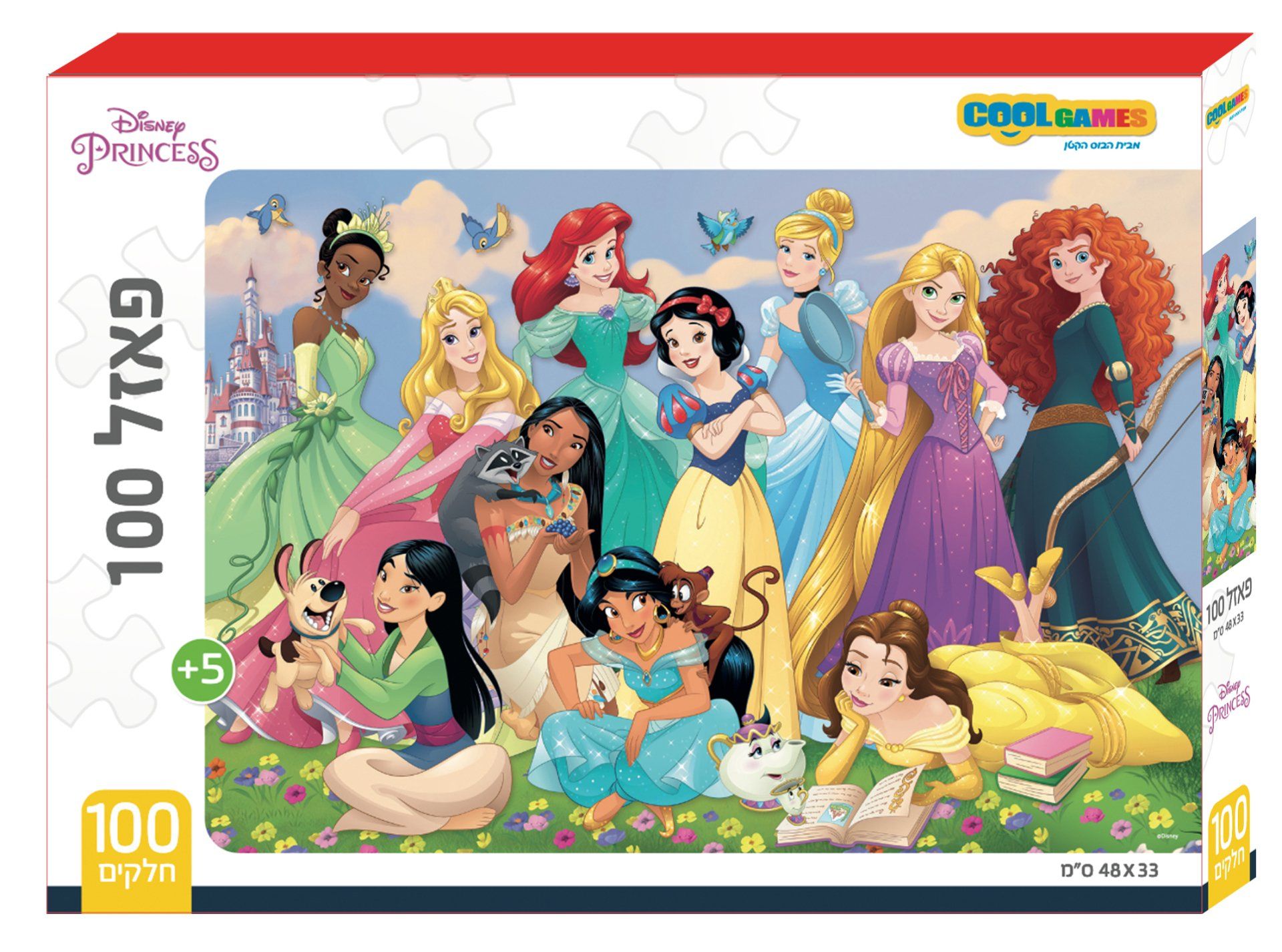 פאזל 100 חלקים - נסיכות