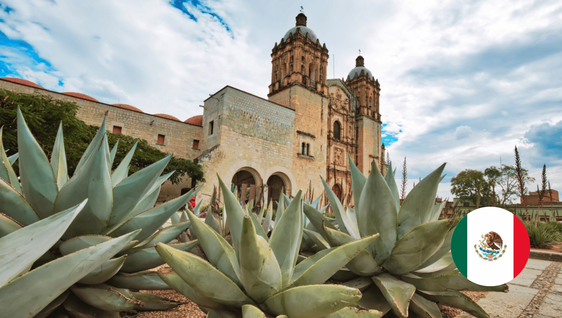 A large building with a flag in the foreground and a bunch of agave plants in front of it.