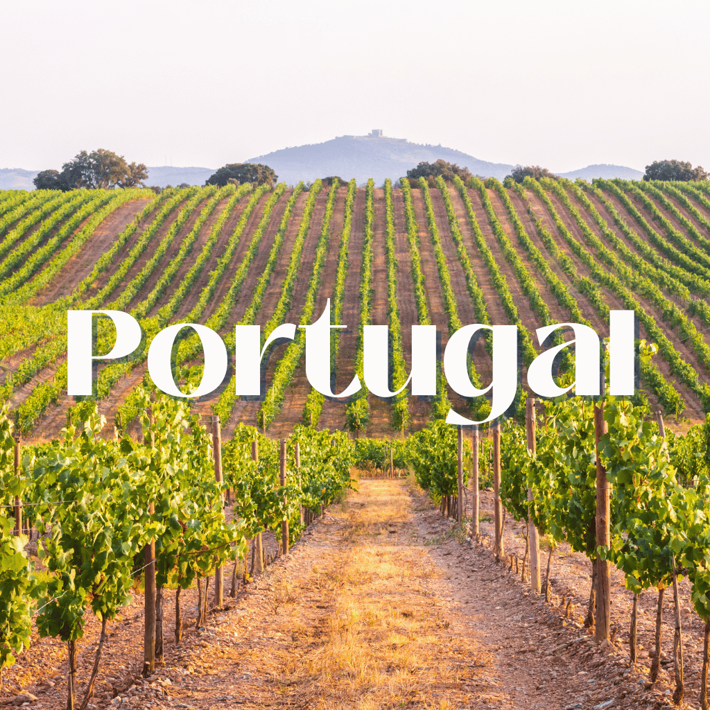 A picture of a vineyard with the word portugal on it.
