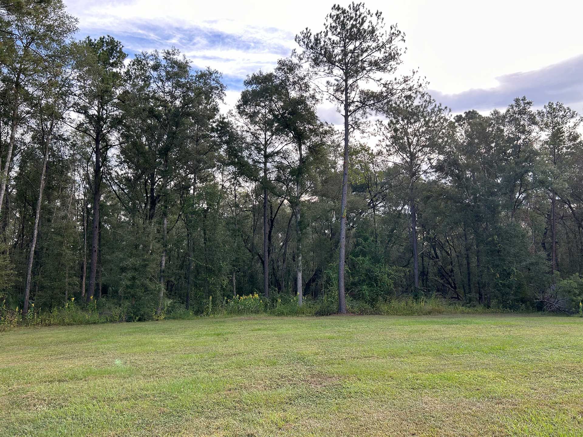 land clearing and grading