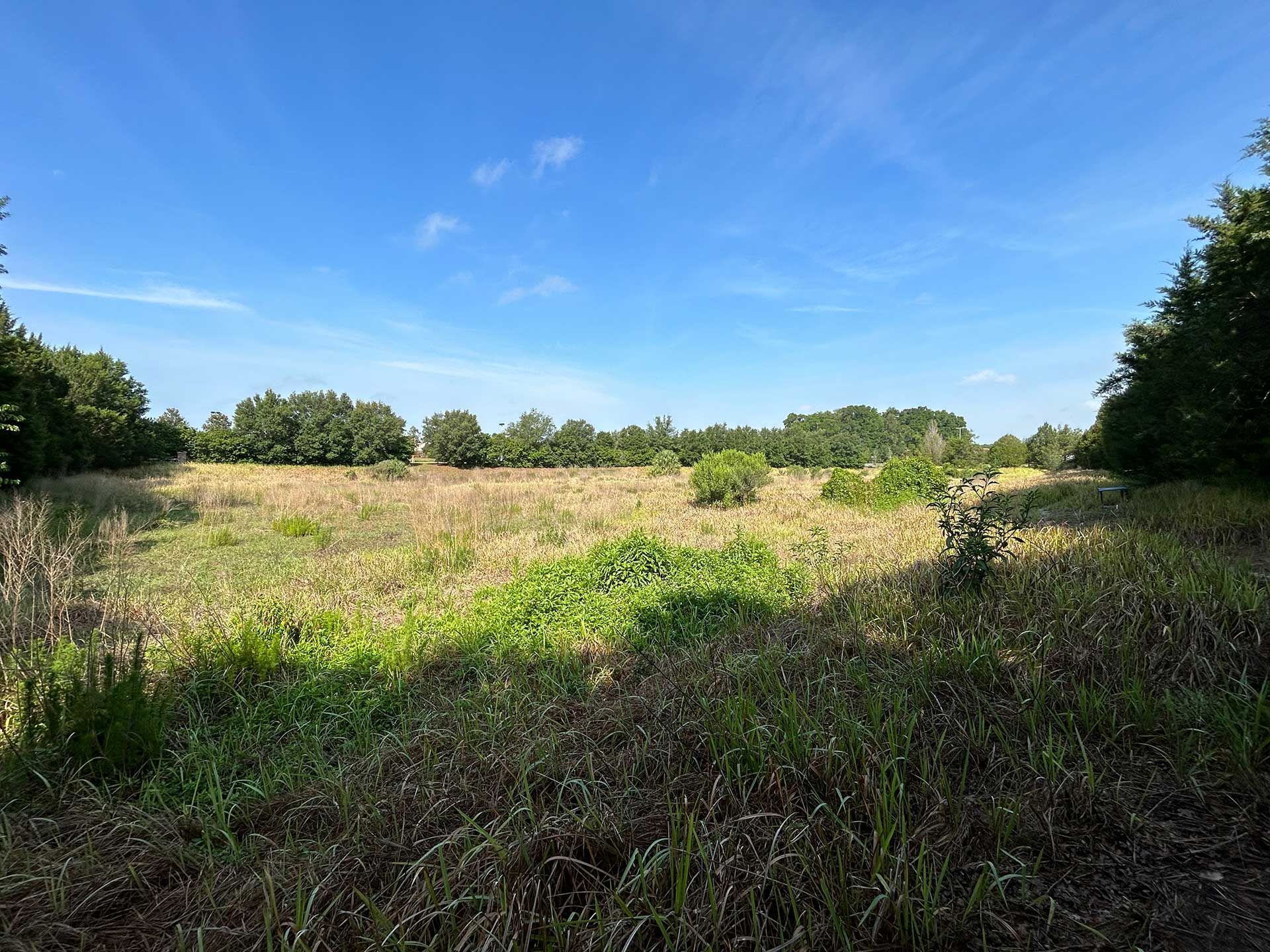 land clearing and grading
