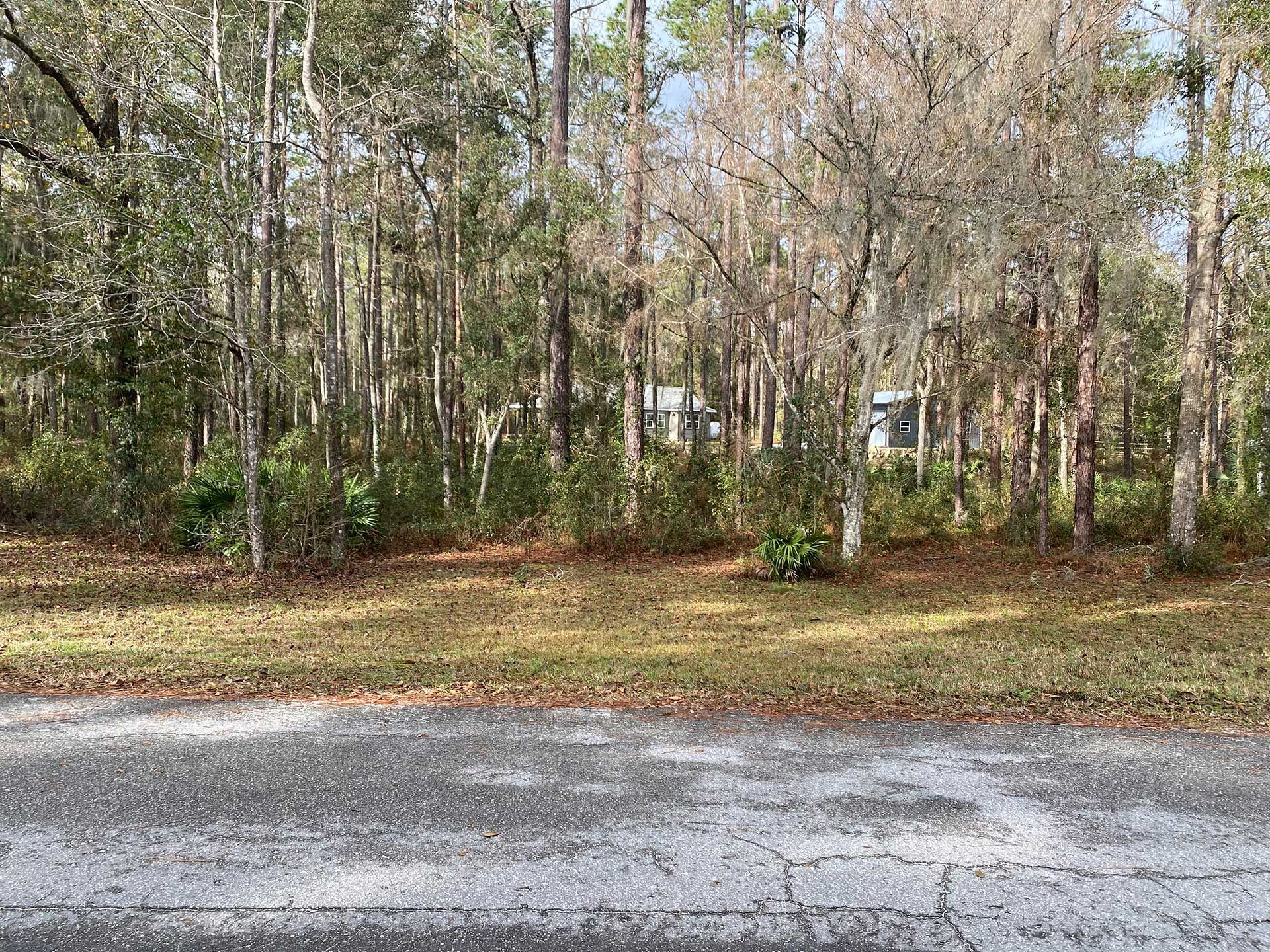 land clearing and grading