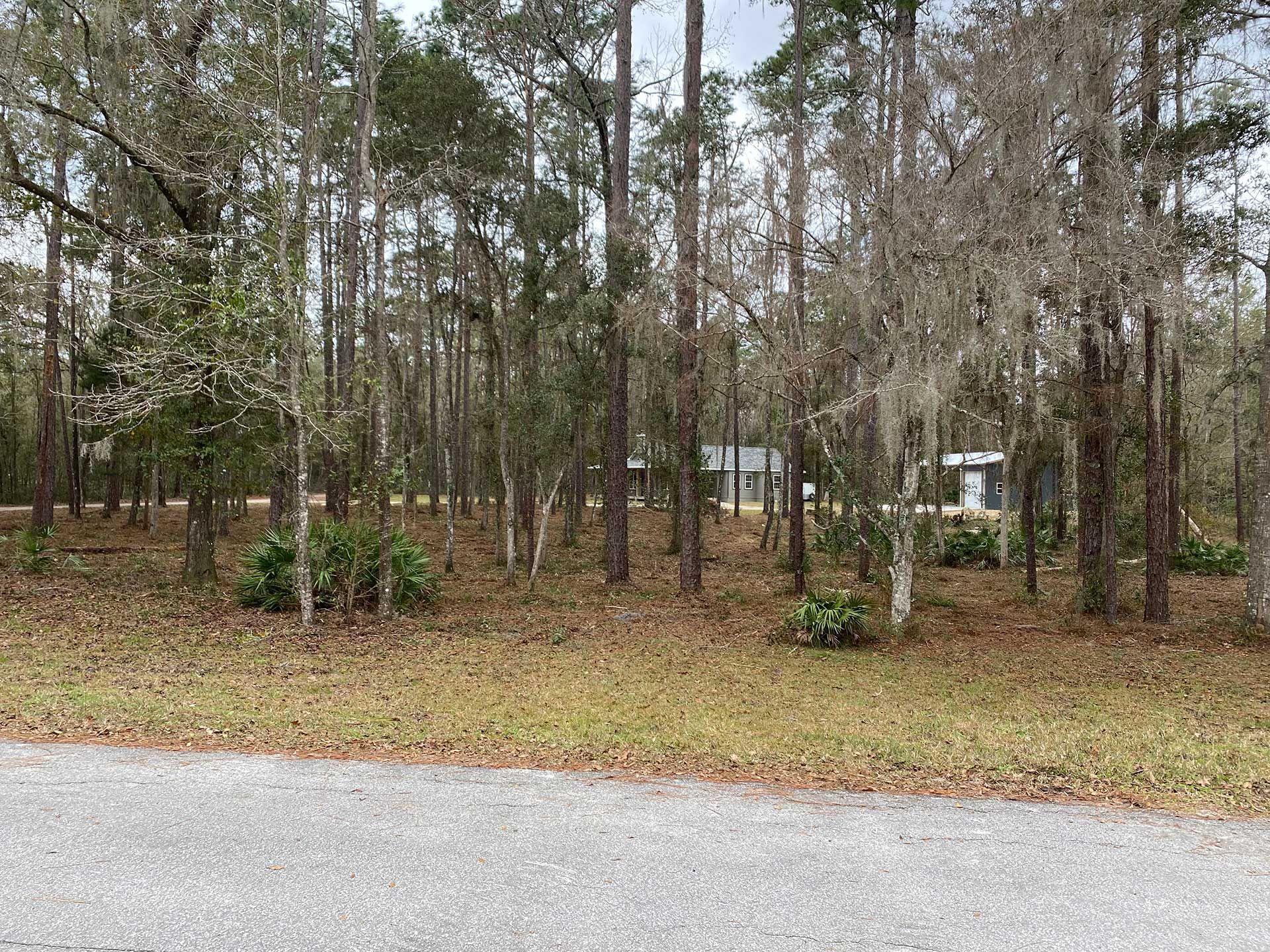 land clearing and grading