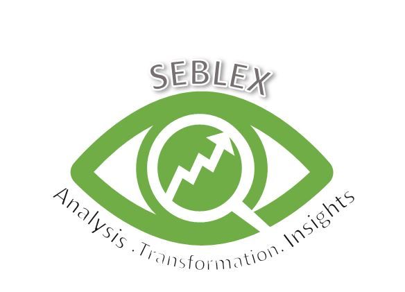 A green eye with a magnifying glass and arrow trending up with the words Seblex, analysis, transformation, insights around it.