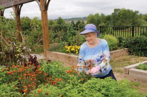 Community Gardens