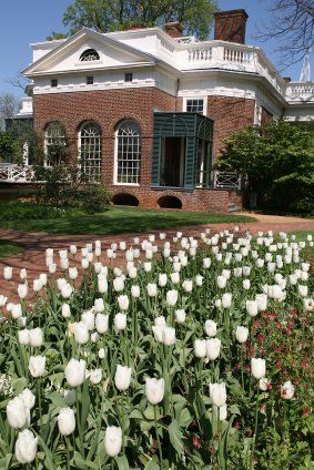 Jefferson's Monticello