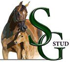 SG Stud logo