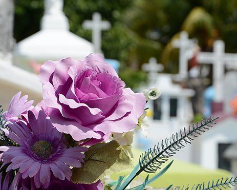 flowers in cemetery
