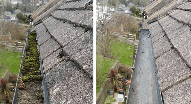 A before and after picture of a gutter on a roof. Roof and gutter cleaning and unblocking