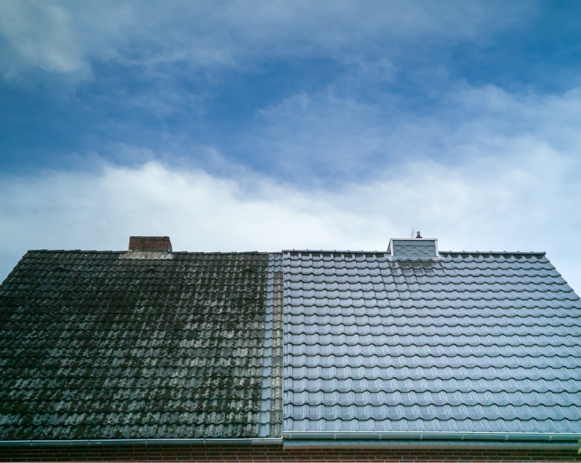 roof cleaning