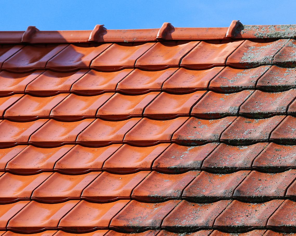 roof cleaning