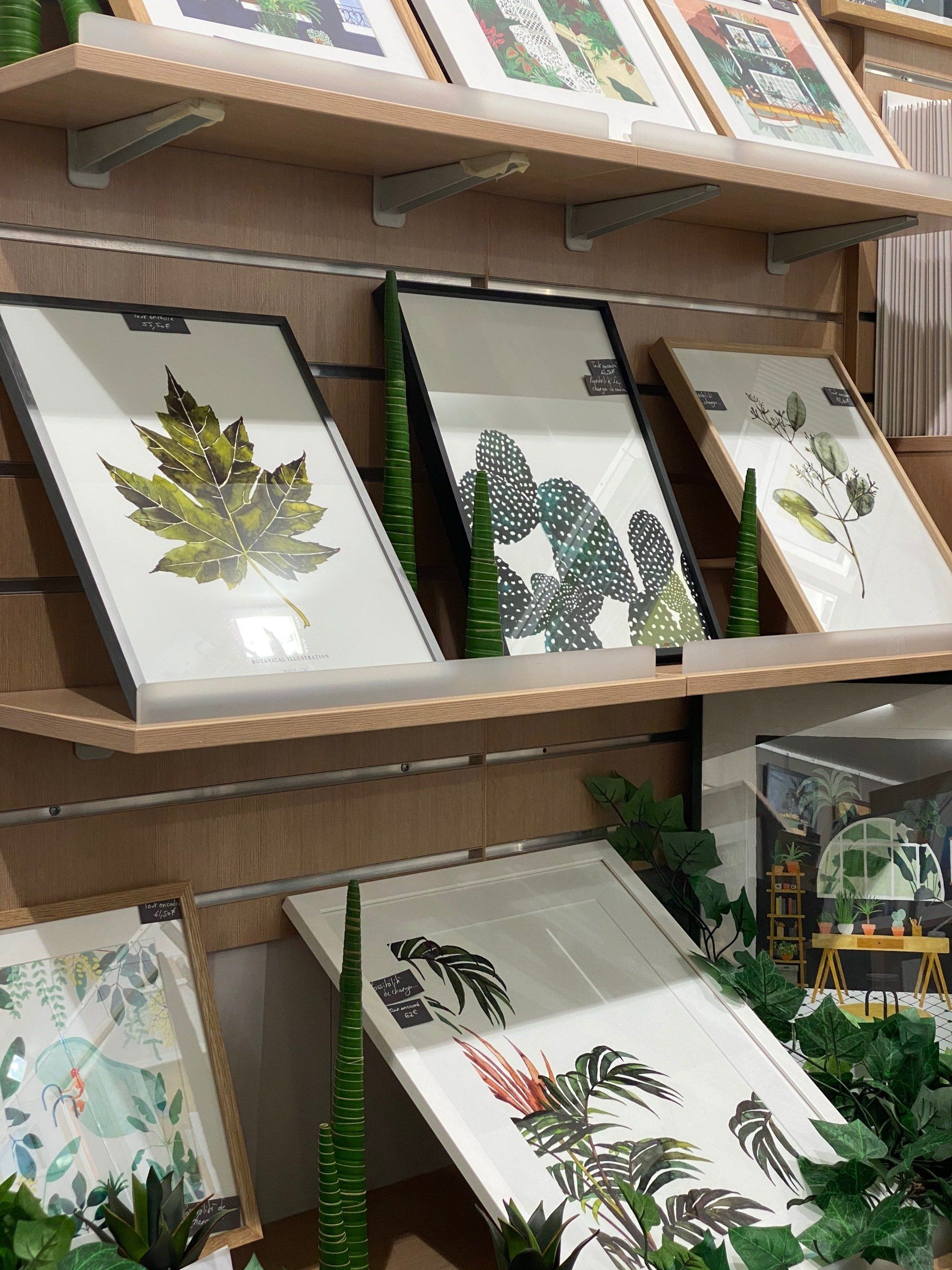 Vente d'illustrations