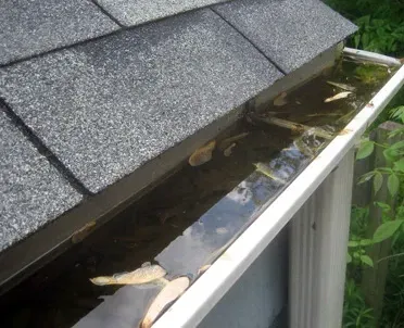 A gutter with water coming out of it and a roof in the background.