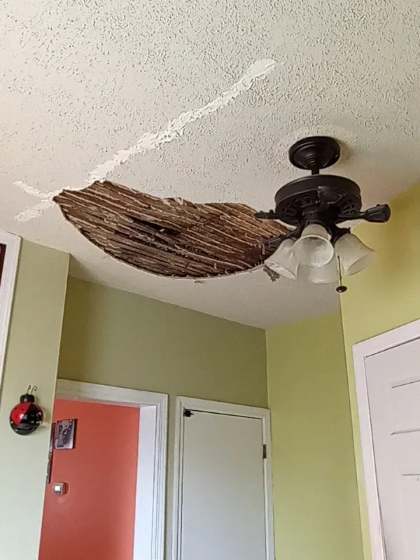 Ceiling damage with a hole, ceiling fan, and water stains, in a room with doorways and light green walls.