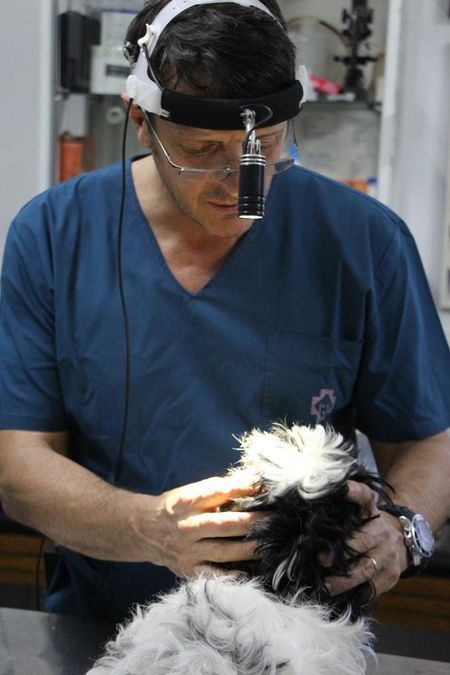 Clínica Veterinaria Dr Fabian Munini