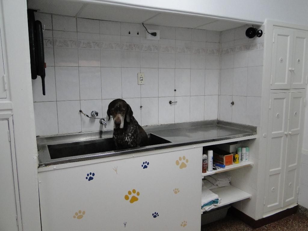 Clínica Veterinaria Dr Fabian Munini