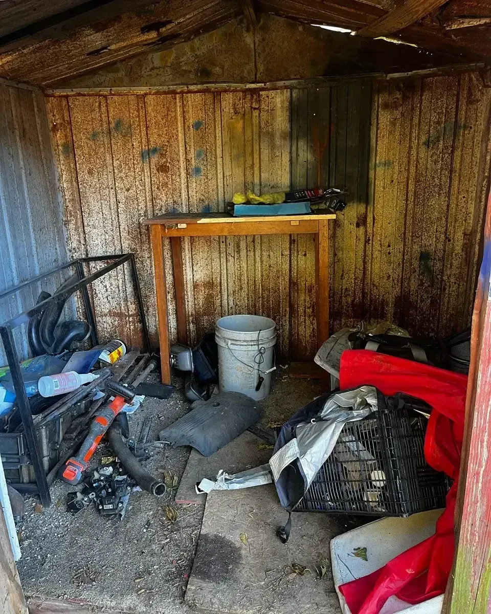 before shed cleanout