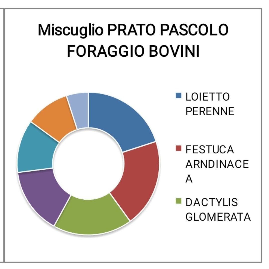 miscuglio pascolo foraggio bovini