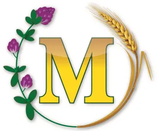 Dactylis glomerata titolo