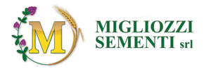 Migliozzi Sementi - LOGO