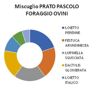 miscuglio prato pascolo foraggio ovini