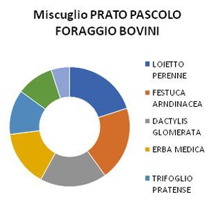 miscuglio pascolo foraggio bovini