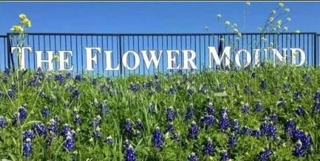 Flower Mound | Eagle Transmission