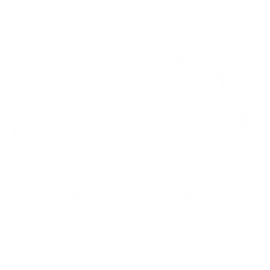 Pantalla blanca vacía.