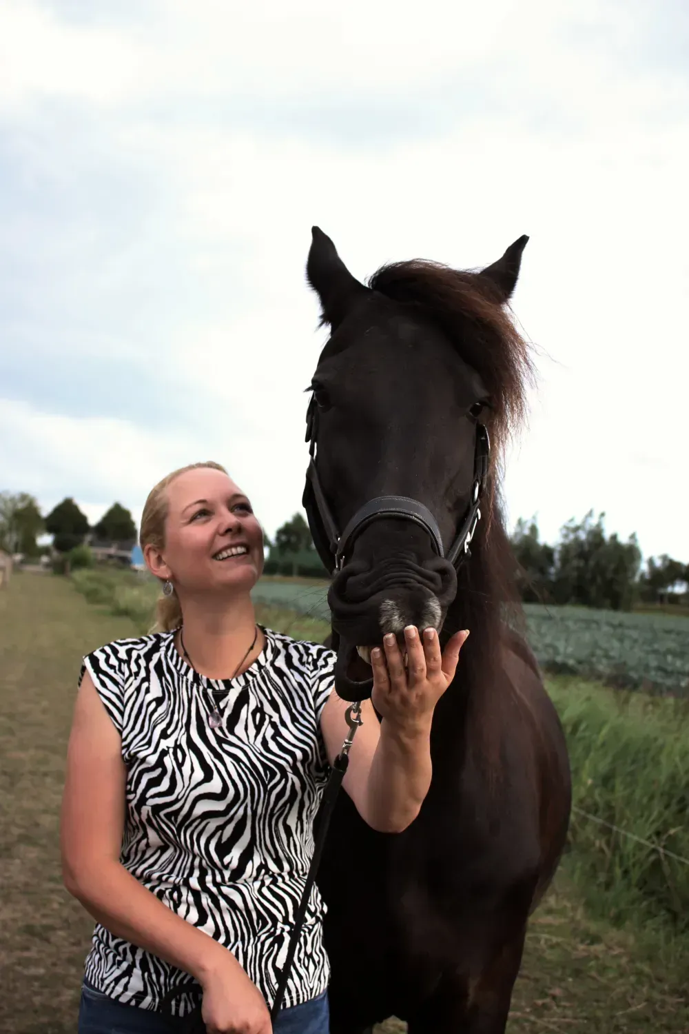 Hersenwerk met paarden