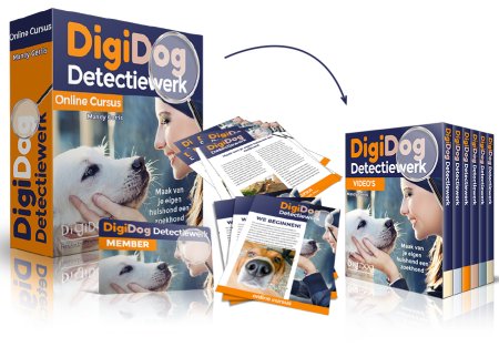Cursus detectiewerk