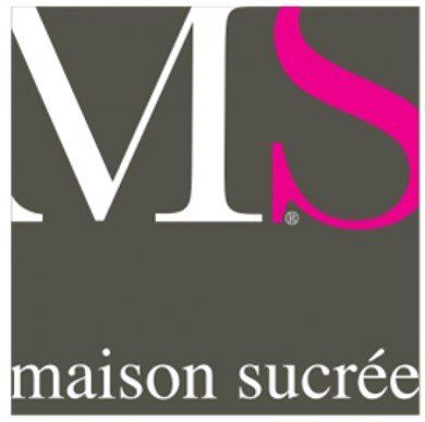 logo ms