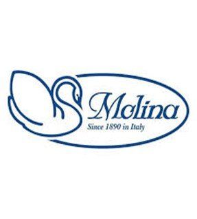 logo molina