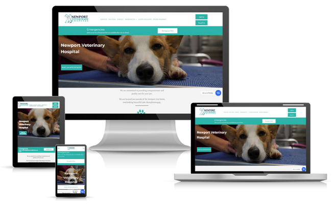 Newport Animal Hospital responsive website design with multiscreen view.