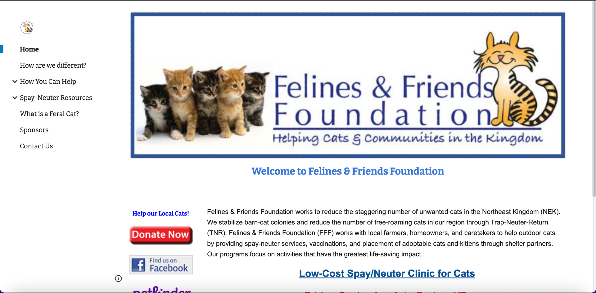 Felines & Friends Foundation Before