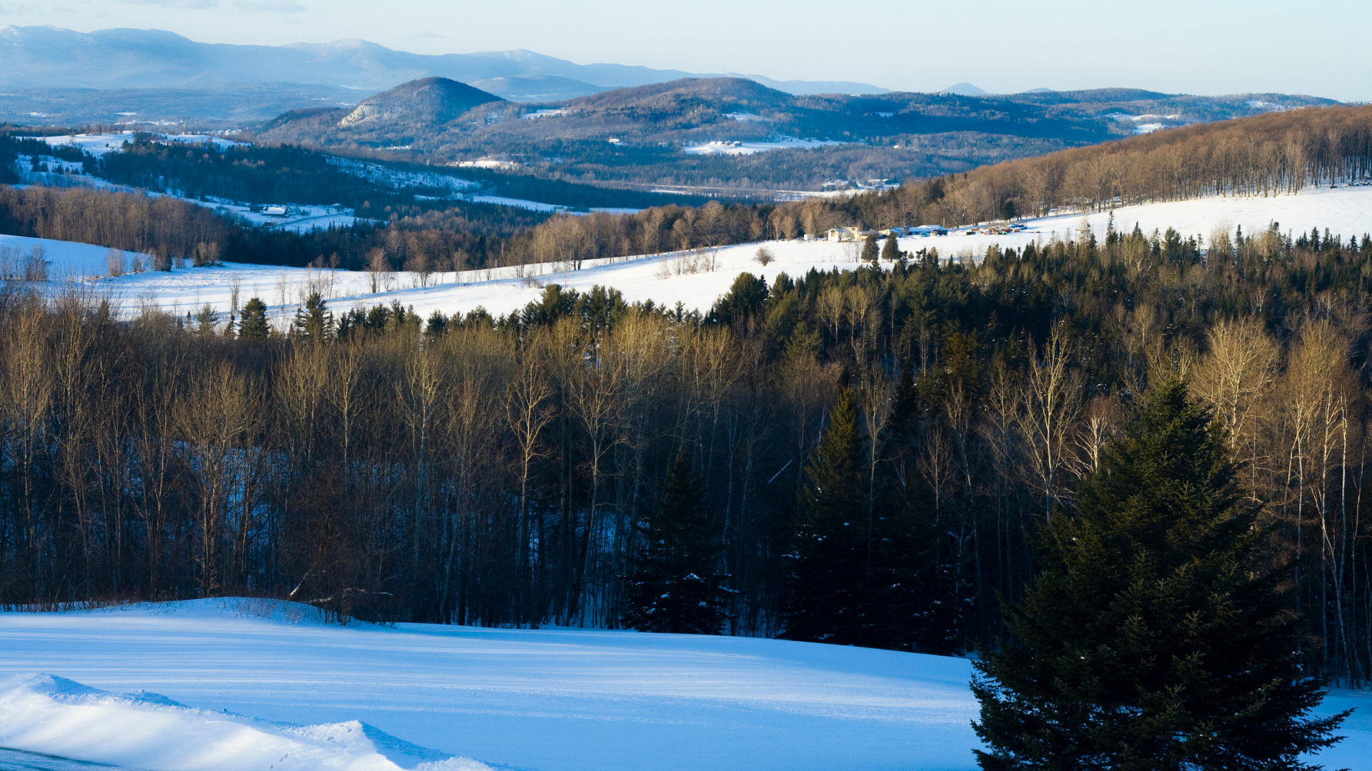 Snowy mountain range in Vermont's Northeast Kingdom.