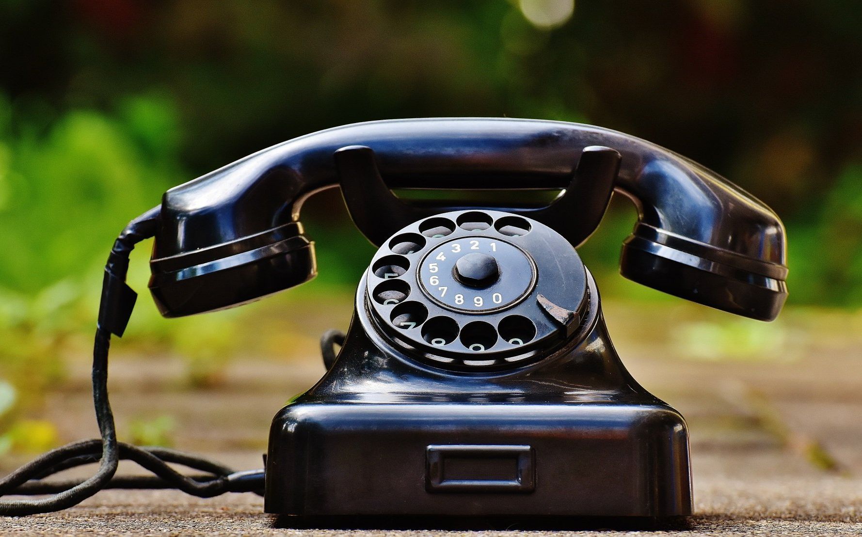 Contact Northeast Kingdom Online by phone