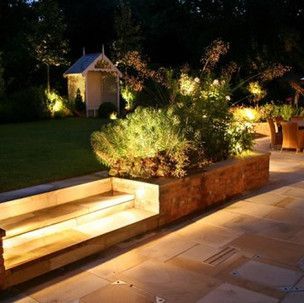 A garden with stairs and plants lit up at night